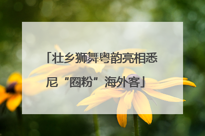 壮乡狮舞粤韵亮相悉尼“圈粉”海外客