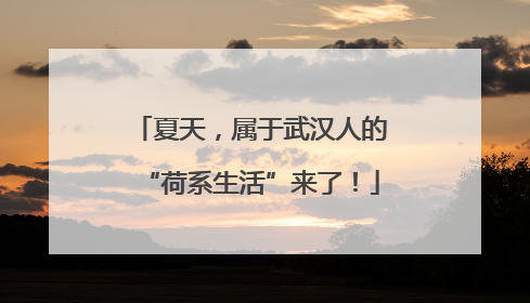 夏天，属于武汉人的“荷系生活”来了！