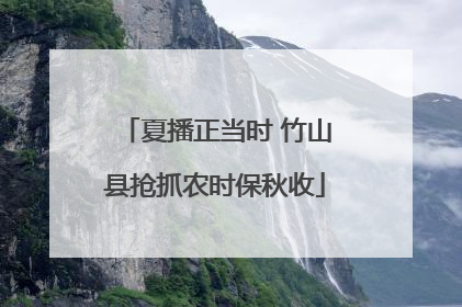 夏播正当时 竹山县抢抓农时保秋收