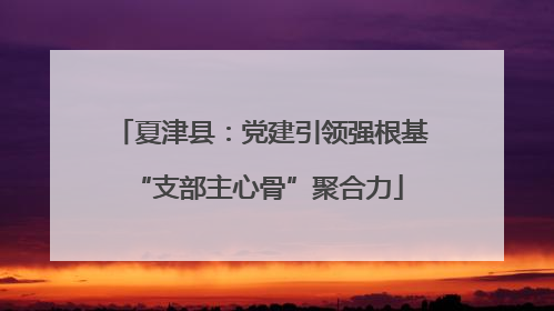 夏津县：党建引领强根基 “支部主心骨”聚合力