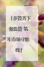 多管齐下强监管 筑牢市场守防线