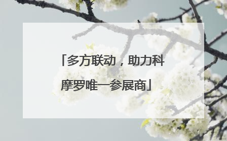 多方联动，助力科摩罗唯一参展商