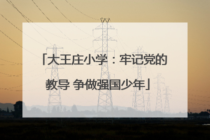 大王庄小学：牢记党的教导 争做强国少年