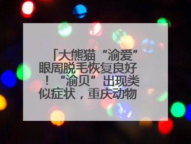 大熊猫“渝爱”眼周脱毛恢复良好！“渝贝”出现类似症状，重庆动物园回应