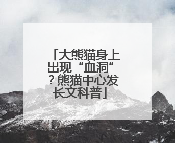 大熊猫身上出现“血洞”？熊猫中心发长文科普