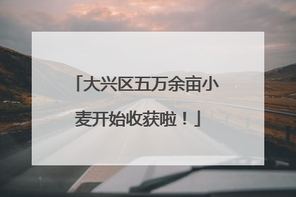 大兴区五万余亩小麦开始收获啦！