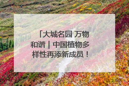 大城名园 万物和谐｜中国植物多样性再添新成员！它只在西藏墨脱
