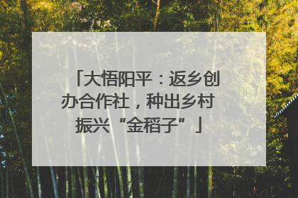 大悟阳平：返乡创办合作社，种出乡村振兴“金稻子”