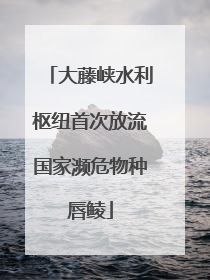 大藤峡水利枢纽首次放流国家濒危物种唇鲮