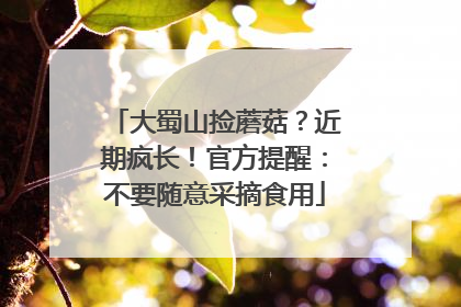 大蜀山捡蘑菇？近期疯长！官方提醒：不要随意采摘食用