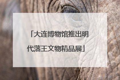 大连博物馆推出明代藩王文物精品展