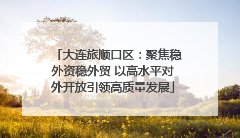 大连旅顺口区：聚焦稳外资稳外贸 以高水平对外开放引领高质量发展