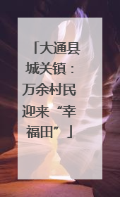 大通县城关镇：万余村民迎来“幸福田”