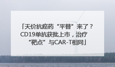 天价抗癌药“平替”来了？CD19单抗获批上市，治疗“靶点”与CAR-T相同
