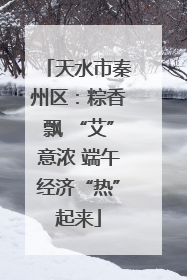 天水市秦州区：粽香飘 “艾”意浓 端午经济“热”起来