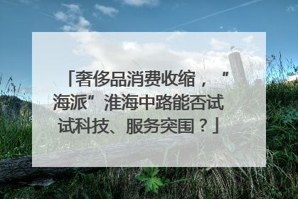 奢侈品消费收缩，“海派”淮海中路能否试试科技、服务突围？