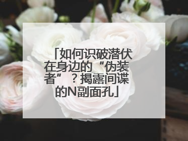 如何识破潜伏在身边的“伪装者”？揭露间谍的N副面孔