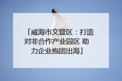 威海市文登区：打造对非合作产业园区 助力企业抱团出海