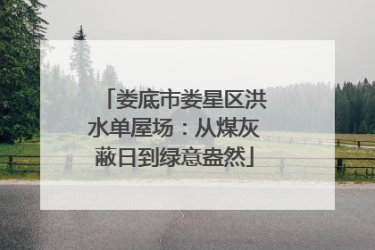 娄底市娄星区洪水单屋场：从煤灰蔽日到绿意盎然