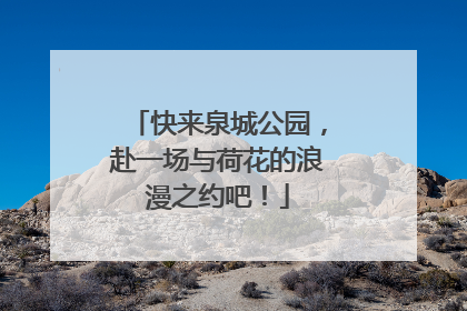 快来泉城公园，赴一场与荷花的浪漫之约吧！