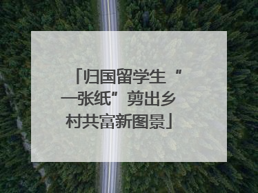 归国留学生“一张纸”剪出乡村共富新图景