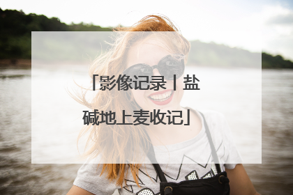影像记录丨盐碱地上麦收记