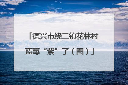 德兴市绕二镇花林村蓝莓“紫”了（图）