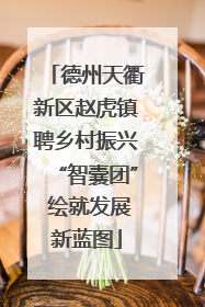 德州天衢新区赵虎镇聘乡村振兴“智囊团” 绘就发展新蓝图