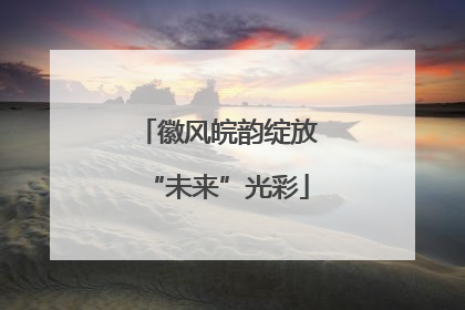 徽风皖韵绽放“未来”光彩