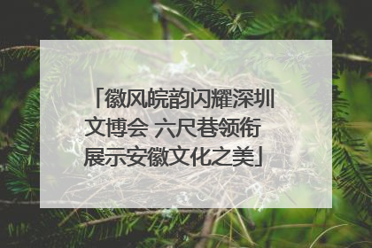 徽风皖韵闪耀深圳文博会 六尺巷领衔展示安徽文化之美