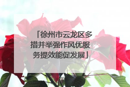 徐州市云龙区多措并举强作风优服务提效能促发展