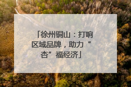 徐州铜山：打响区域品牌，助力“杏”福经济