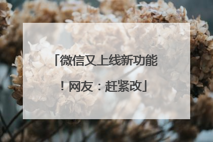 微信又上线新功能！网友：赶紧改