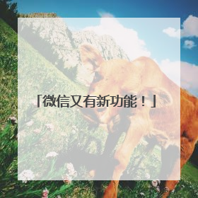 微信又有新功能！