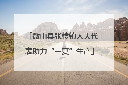 微山县张楼镇人大代表助力“三夏”生产