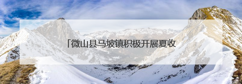微山县马坡镇积极开展夏收工作 “秸”尽其用助增收