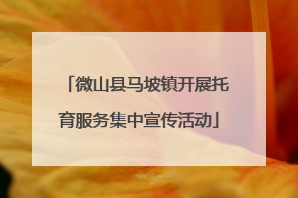微山县马坡镇开展托育服务集中宣传活动