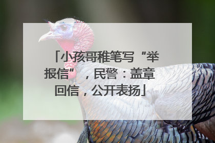 小孩哥稚笔写“举报信”，民警：盖章回信，公开表扬