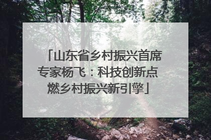 山东省乡村振兴首席专家杨飞：科技创新点燃乡村振兴新引擎