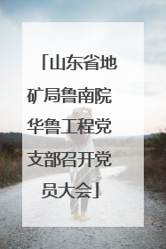 山东省地矿局鲁南院华鲁工程党支部召开党员大会