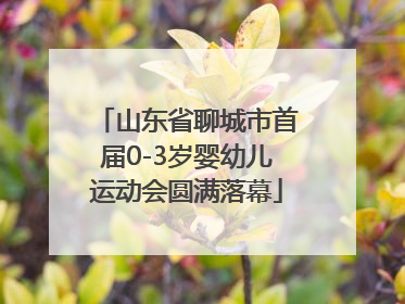 山东省聊城市首届0-3岁婴幼儿运动会圆满落幕