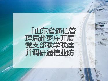 山东省通信管理局赴枣庄开展党支部联学联建并调研通信业防汛准备工作