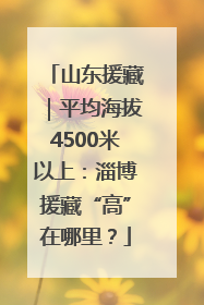 山东援藏｜平均海拔4500米以上：淄博援藏“高”在哪里？