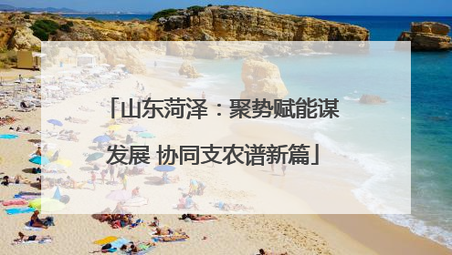 山东菏泽：聚势赋能谋发展 协同支农谱新篇
