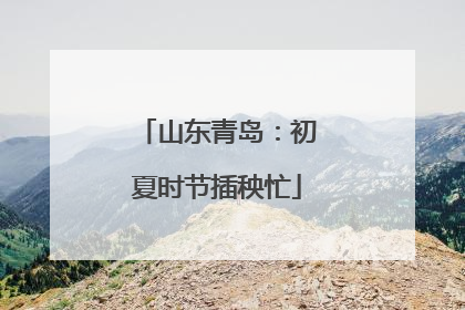 山东青岛：初夏时节插秧忙