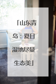 山东青岛：夏日湿地尽显生态美