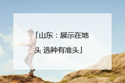山东：展示在地头 选种有准头
