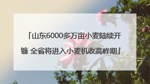 山东6000多万亩小麦陆续开镰 全省将进入小麦机收高峰期