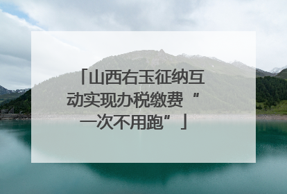 山西右玉征纳互动实现办税缴费“一次不用跑”