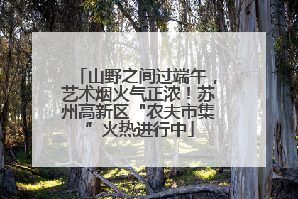 山野之间过端午，艺术烟火气正浓！苏州高新区“农夫市集”火热进行中